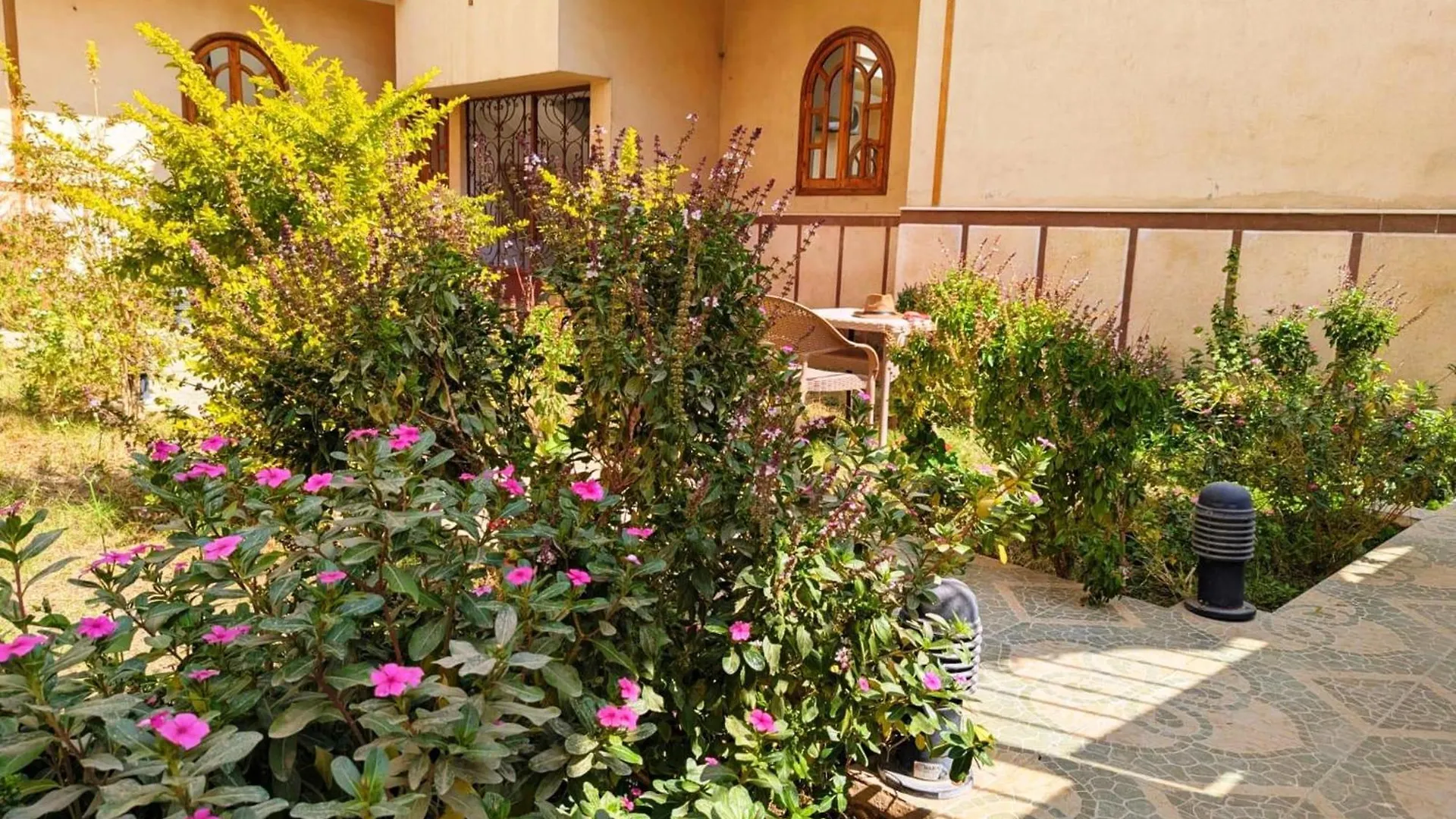 Mikhaila Guest House Luxor 0*,  Egypt