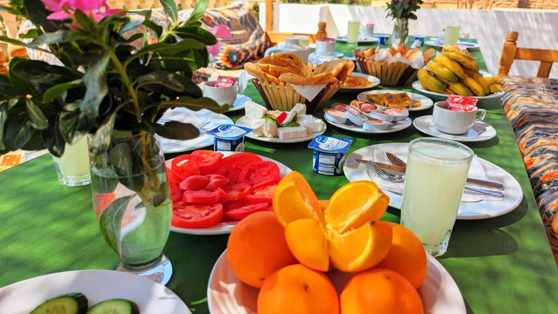 Mikhaila Guest House Luxor