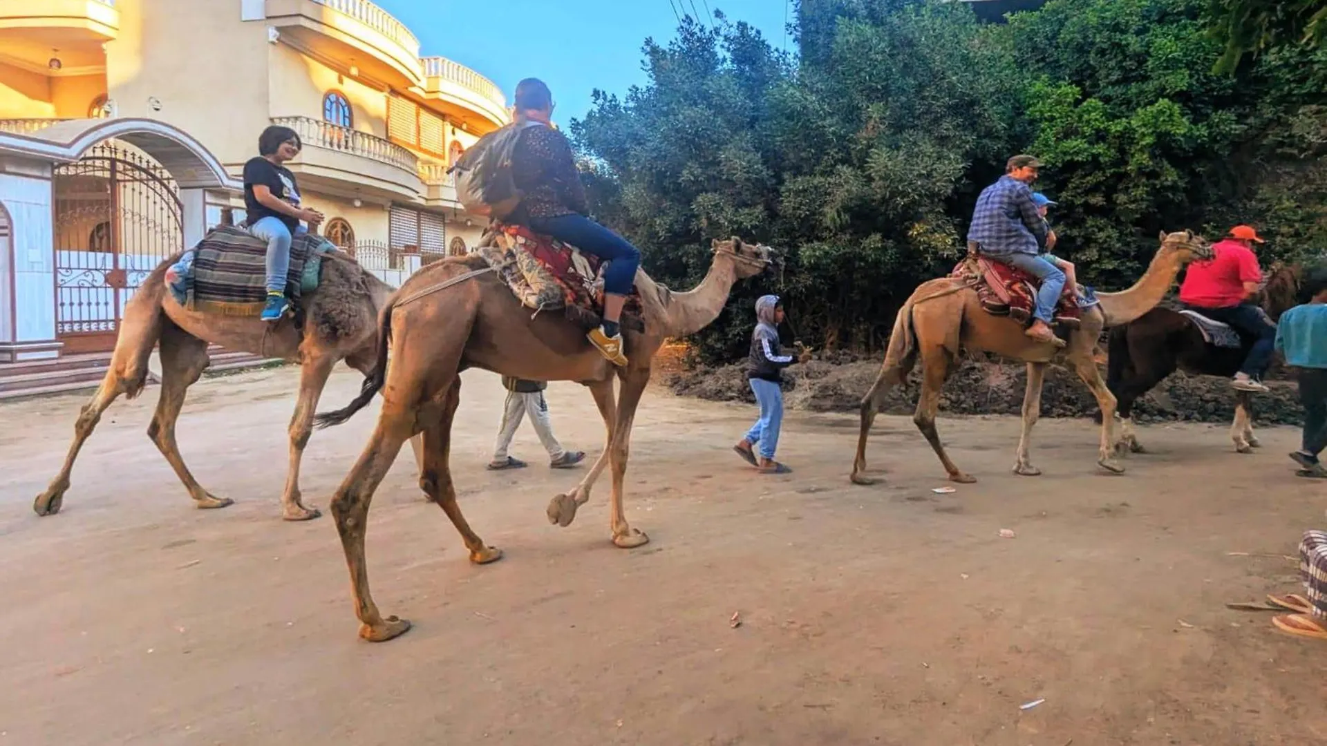 Mikhaila Guest House Luxor